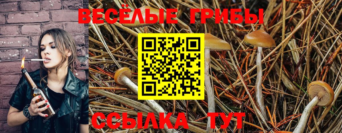 Псилоцибиновые грибы ЛСД  Псилоцибиновые грибы прущие грибы  Новоуральск  Вход с VPN 